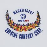 Футболка Supreme Victory Short-Sleeve Top 'White', белый - фото 3