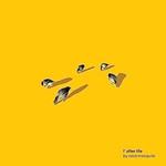 CD диск Coco Mosquito: L'After Life - фото