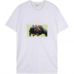 Футболка мужская белая Givenchy, белый - фото