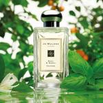 Одеколон Jo Malone London Basil & Neroli - фото 3