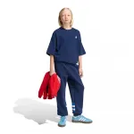 Свободные спортивные штаны adidas Originals Santiago, синий - фото 4