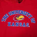 Толстовка с капюшоном Pro Standard College Classic - фото 5