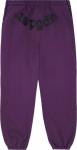 Спортивные брюки Sp5der Classic Sweatpant 'Grape', фиолетовый - фото