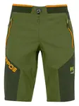 Шорты со вставками KARPOS, зеленый - фото