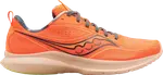 Кроссовки Saucony Kinvara 13 Campfire Story, оранжевый - фото