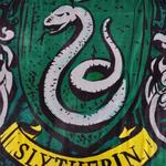 Гарри Поттер — пляжное полотенце с гербом Слизерина - фото 3