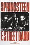 Футболка Bruce Springsteen E Street Band, белый - фото 2