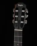 Taylor 212ce-N Plus Black - фото 7