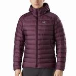 Свитшот с капюшоном Cerium Arcteryx, зеленый - фото 11