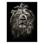 Картина на холсте A.S. Création Löwe цвет schwarz/grau - фото