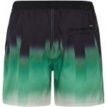 Плавки-Шорты prtbowery Protest, зеленый - фото 2