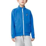 Куртка GS Asics, цвет 8851 Arthur Blue - фото 3