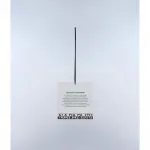 Шорты Napapijri Deline, черный - фото 4