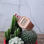 CASIO Часы Women's YOUTH Gold Watch B640WC-5A - фото 3