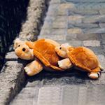 Плюшевая игрушка TRUDI, Baby turtle - фото 4