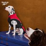 Одежда для собак и дождевики Reebok, фиолетовый - фото 7