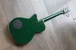 DANELECTRO "57 Джейд" - фото 2