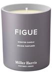 Ароматическая свеча KERZE FIGUE SCENTED CANDLE Miller Harris - фото