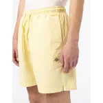 Шорты Dickies Pelican Rapids, желтый - фото 4