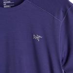 Футболка команды Cormac Arc'Teryx, цвет soulsonic heather - фото 3