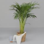 Вставка для полива Ikea Insert, 70 мл - фото 7