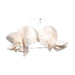 Топ Jacquemus, кремовый - фото