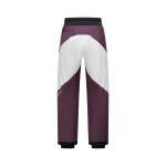 Сноубордические лыжные штаны unisex DESCENTE, хаки - фото 3