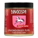 Бальзам Forte Herbal Mix для массажа BINGOSPA - фото