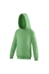 Толстовка с капюшоном AWDis, зеленый - фото