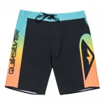 Шорты для плавания Quiksilver Surfsilk Holmes 20´´, черный - фото 3