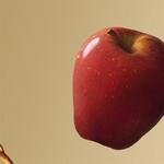 Парфюмерная вода Hugo Boss Boss Bottled - фото 6