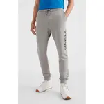 Спортивные брюки O´neill Logo, серый - фото