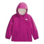 ПС куртка The North Face, фиолетовый - фото