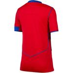 Футболка Performance NIKE Paris Saint Germain 25-26, рубиново-красный - фото 2