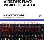 CD диск Del Aguila / Windsync: WindSync Plays Miguel del Aguila - фото