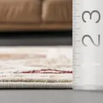 Ковер Astrid Traditional Motif Fringe Area Rug nuLOOM, 61x122 см, бежевый - фото 3