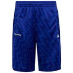 Шорты adidas Predator, синий - фото