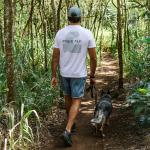 Футболка Free Fly Waverider Free Fly, White - фото 4