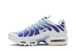 Кроссовки Nike Wmns Air Max Plus TN SE 'Bleached Aqua', синий - фото 3