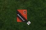 Одеяло для пикника на открытом воздухе Cincinnati Bengals Picnic Time - фото 4