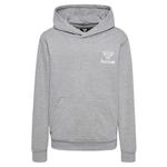 Худи Hummel Proud, серый - фото