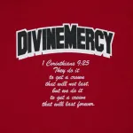 Толстовка  Supreme Salvation Zip Up, красный - фото 3