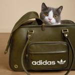 Сумка-переноска для животных Adidas Pet Carrier Shoulder, хаки - фото 13