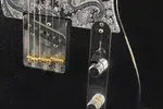 Fender Brad Paisley Esquire Черный с блестками, клен - фото 4