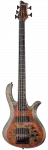 Schecter Riot-5 Bass Inferno Burst - фото 2