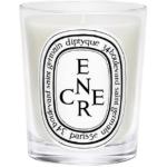 Практическая ароматерапия Diptyque, [limited edition]ink 190g - фото