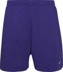 Шорты Balenciaga Logo Print Shorts 'Indigo/Dirty White', синий - фото 2