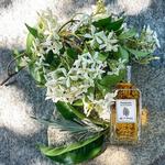 Etro Пачули EDT Vapo 100мл - фото 3