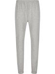 Спортивные брюки Arlanc в цвете 1005 Light Gray Melange Endurance - фото