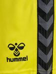 Шорты Hummel Hmlauthentic Multisport Herren, цвет blazing yellow - фото 3
